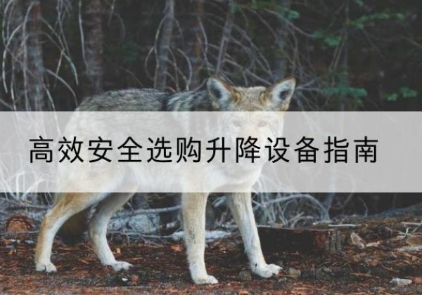 双湖升降货梯厂家推荐-*安全选购升降设备指南