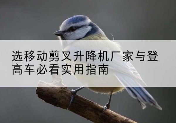双湖电动升降机厂家-选移动剪叉升降机厂家与登高车必看实用指南