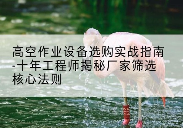 双湖剪叉式升降机厂家-高空作业设备选购实战指南-十年工程师揭秘厂家筛选核心法则